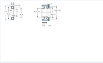 SKF NUP2203ECP軸承