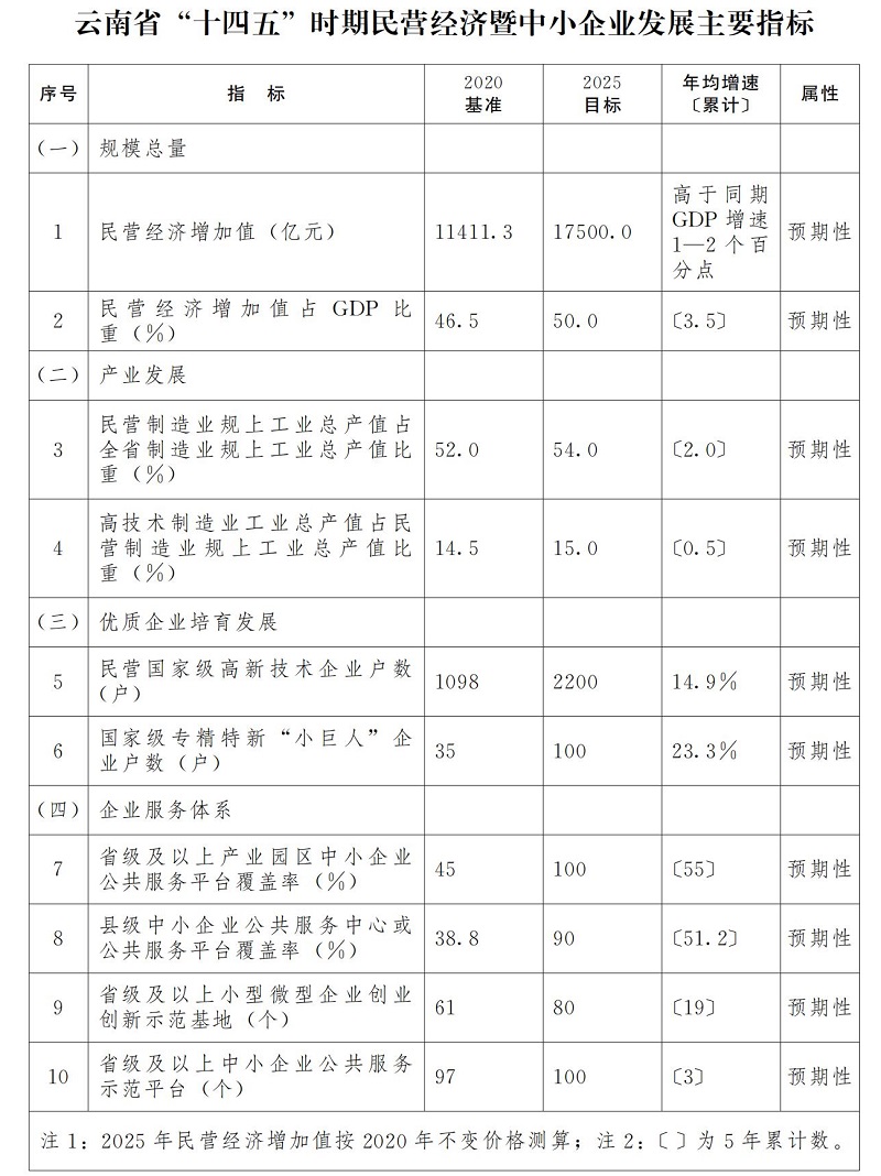 雲南省“十四五”民營經濟暨中小企業發展規劃