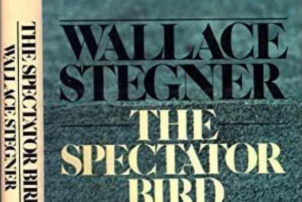 The Spectator Bird