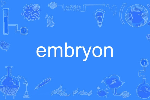 embryon