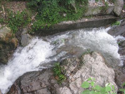 駱家舍村