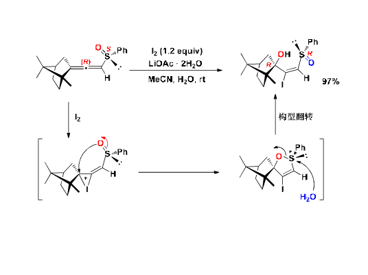 鄰基參與效應(鄰基參與)