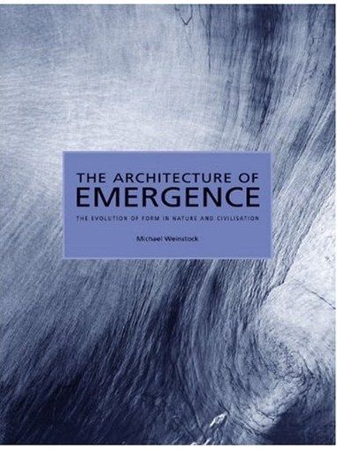 The Architecture of Emergence