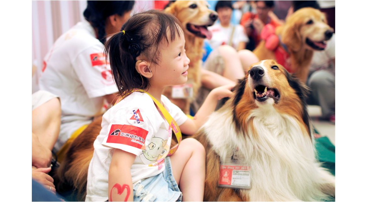 亞洲動物基金(亞洲動物基金會)