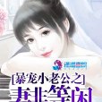 暴寵小老公之妻非等閒