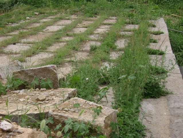 青州古道