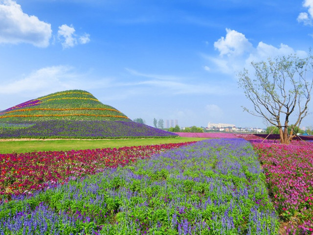 馬可波羅花世界樂園