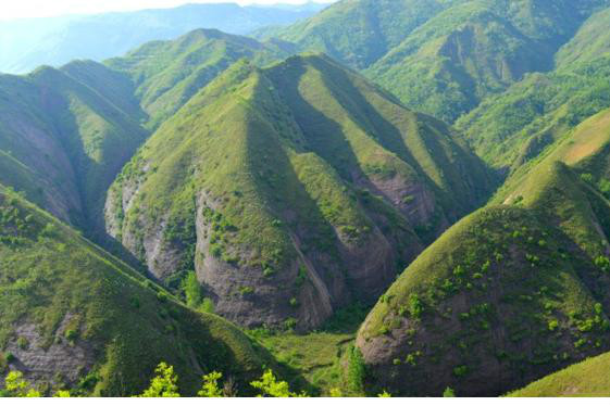 蓮花山(陝西省商洛市蓮花山)