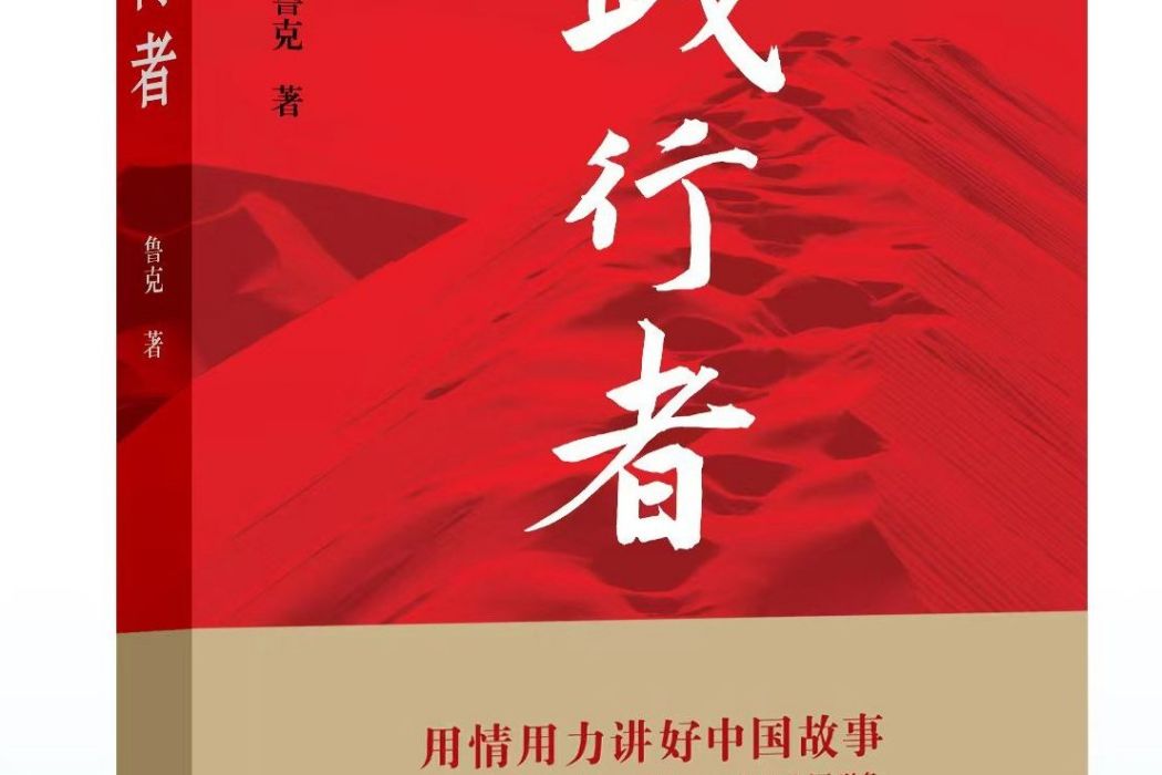 踐行者(2021年武漢大學出版社出版的圖書)