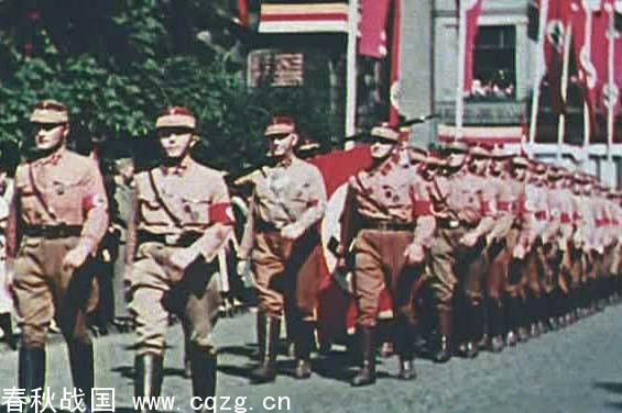 衝鋒隊(德國納粹黨的武裝組織)