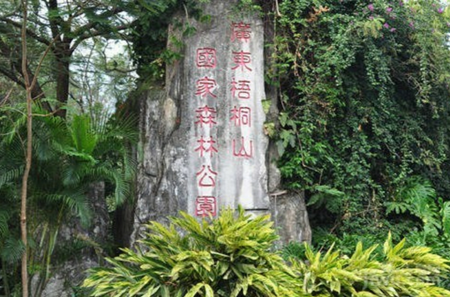 梧桐山國家森林公園