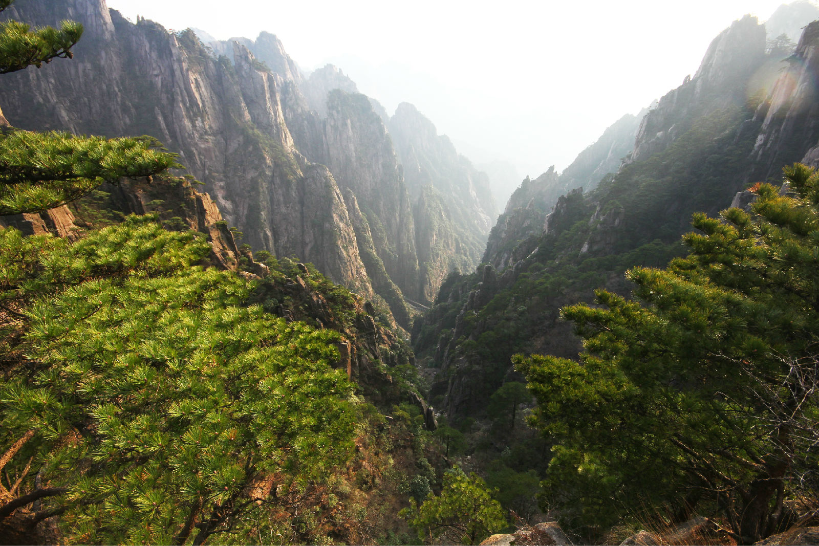 黃山白雲谷