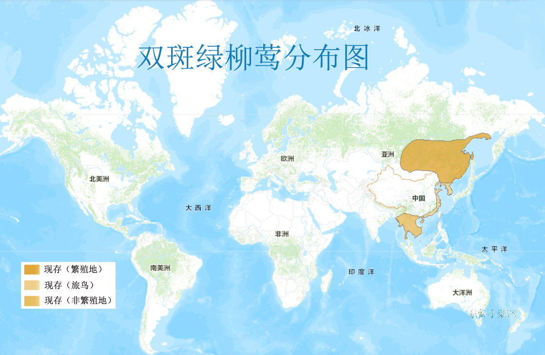 雙斑綠柳鶯分布圖