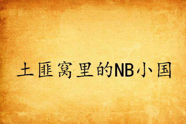 土匪窩裡的NB小國