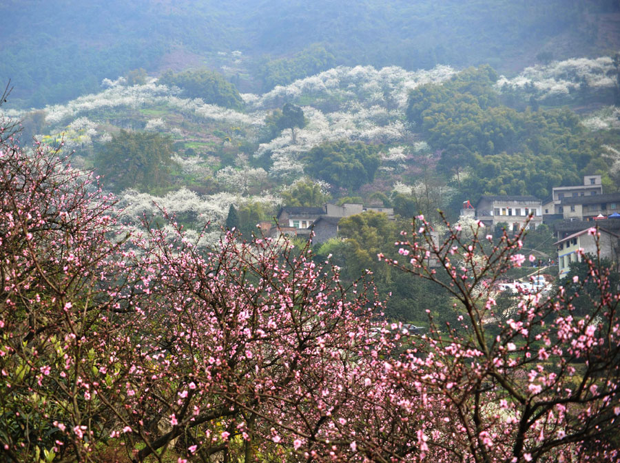 江北村(雲南昭通市永善縣青勝鄉下轄村)