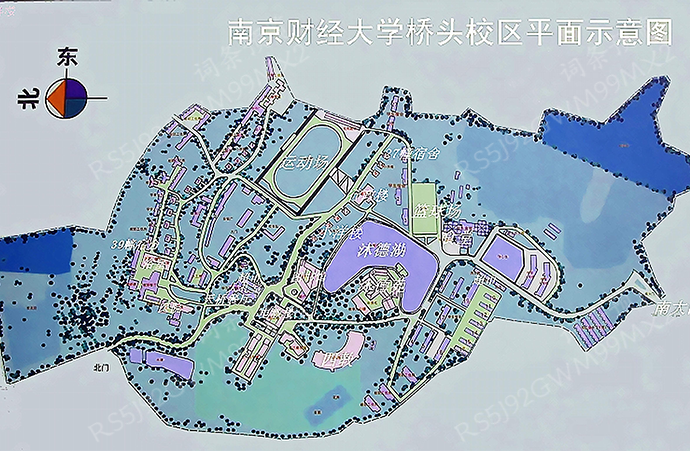 南京財經大學