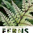 The Plant Lover\x27s Guide to Ferns