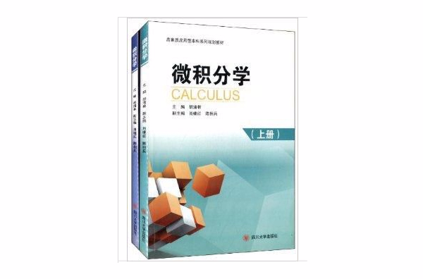 高素質套用型本科系列規劃教材：微積分學