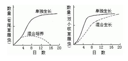 高斯競爭排除實驗