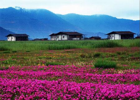 香格里拉(香格里拉縣)