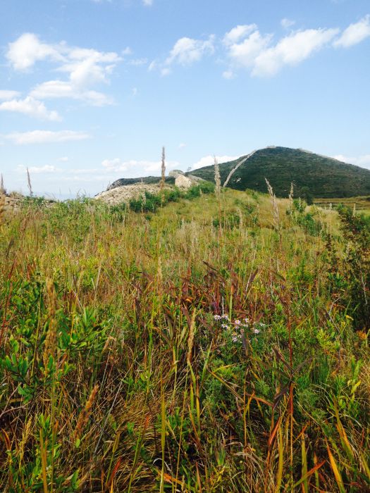 大營盤長城