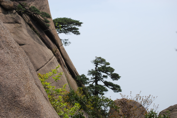 靈山景區(江西省上饒市靈山景區)