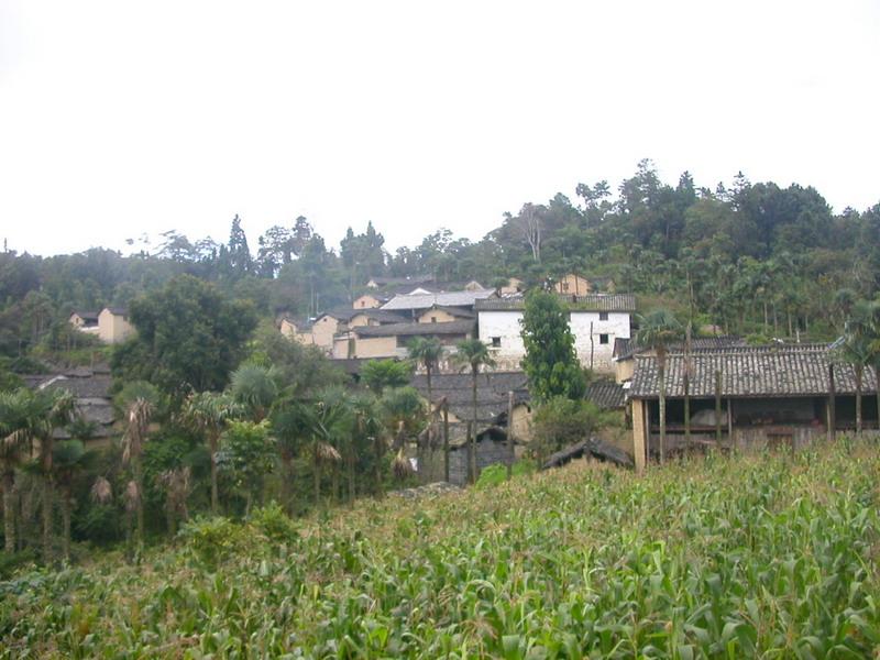 荷花自然村(雲南省德宏梁河縣大廠鄉趙老地村荷花自然村)