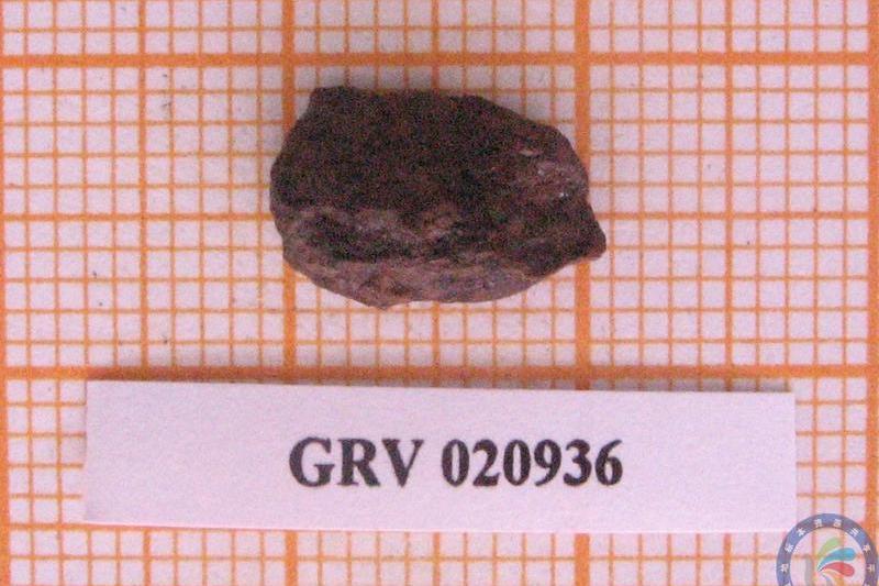 南極隕石GRV020936