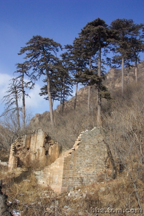 過去的應夢寺