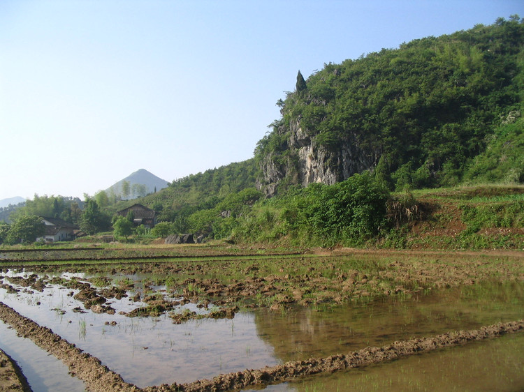 沙墩頭村