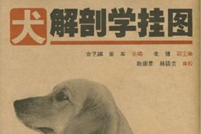 犬解剖學掛圖