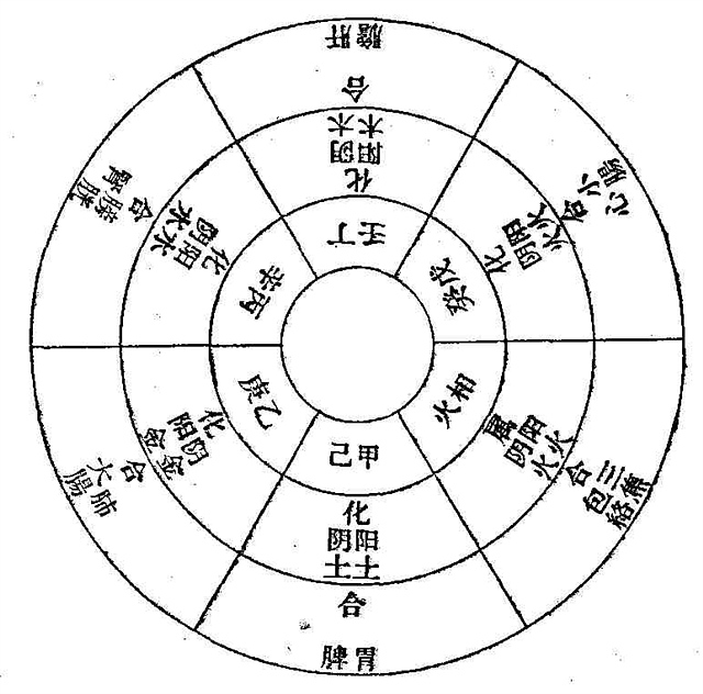 五運和臟腑十二經絡圖