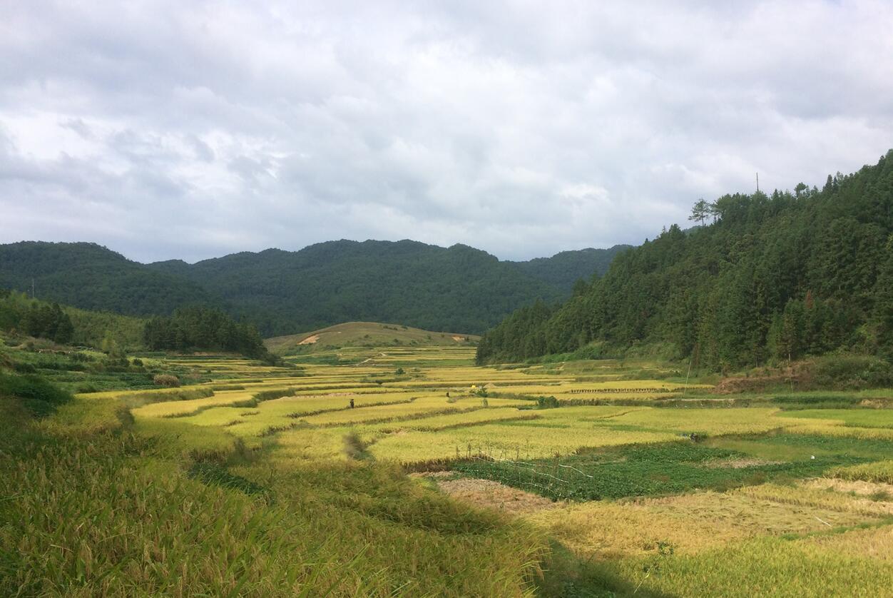 遠眺饅頭山