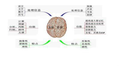 行為引導學