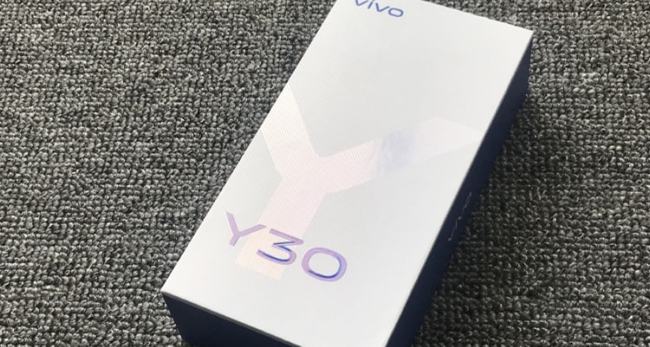 vivo Y30