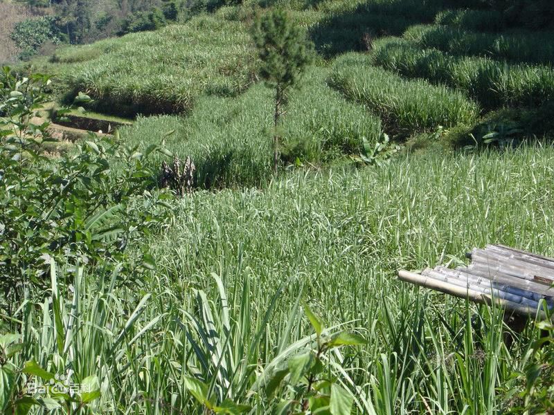 尖山自然村(小寨鄉趙家海行政村下轄自然村)