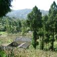 高田自然村(雲南梁河縣大廠鄉下轄村)