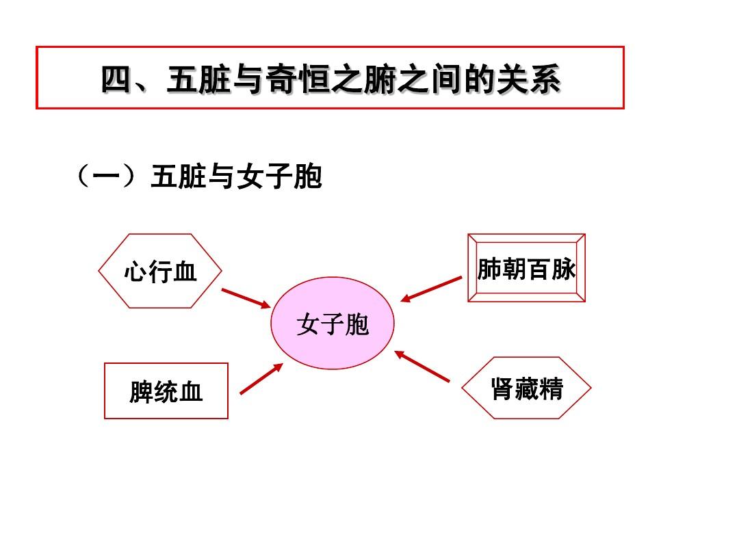 奇恆之腑(奇恆之府)