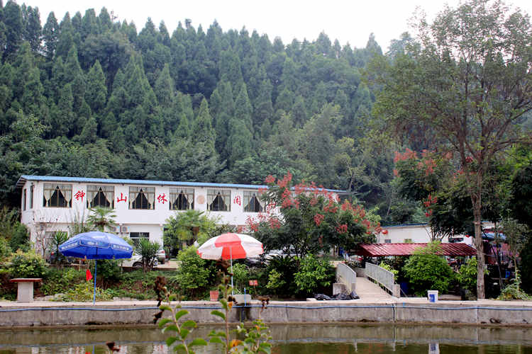 鐘山村(黑龍江穆稜市八面通鎮鐘山村)