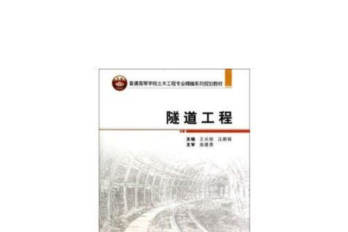 隧道工程(2020年武漢大學出版社出版的圖書)