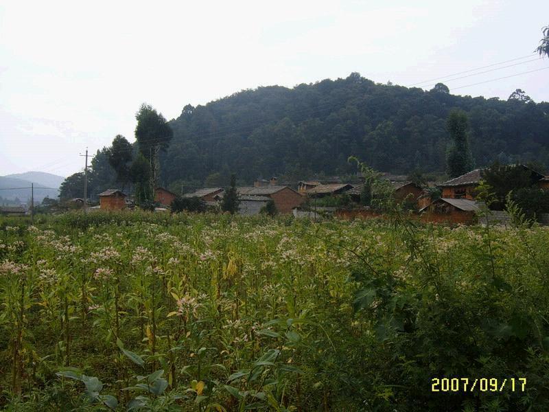 文筆山村(雲南省文山州丘北縣錦屏鎮下轄村)