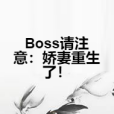 Boss請注意：嬌妻重生了！