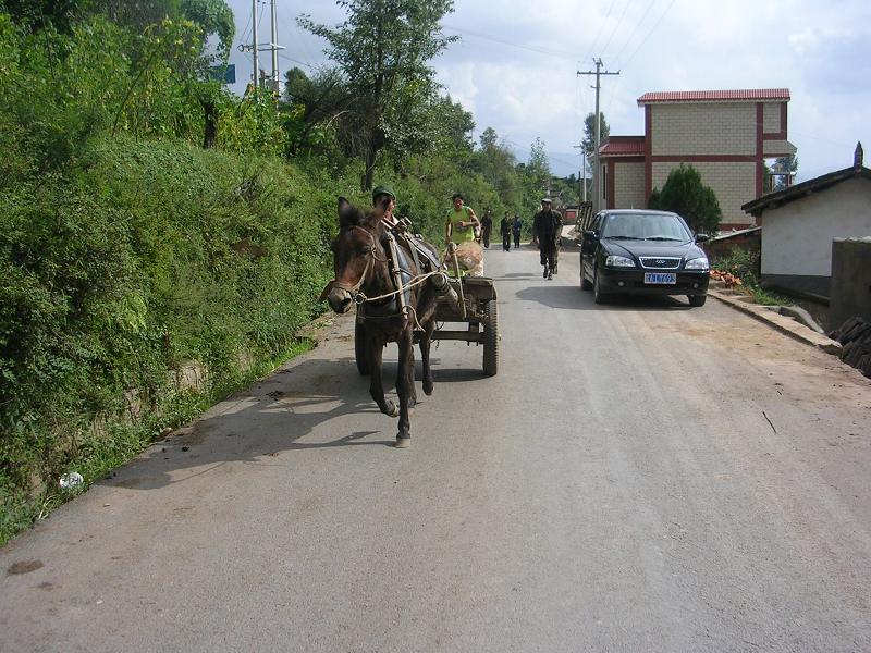 村中的路