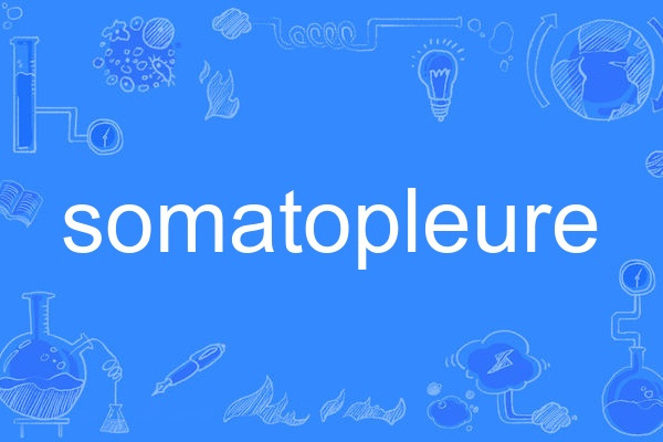 somatopleure