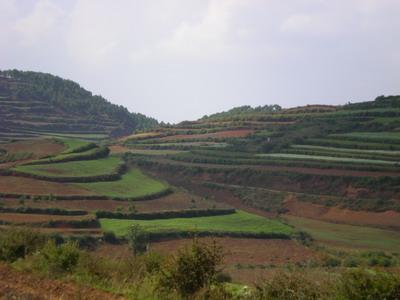 橋頭起自然村的耕地