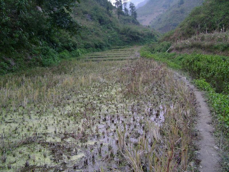 上石元村