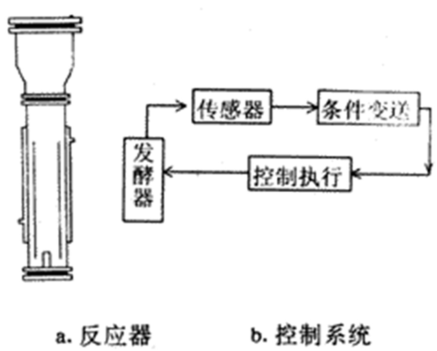 種子培養基