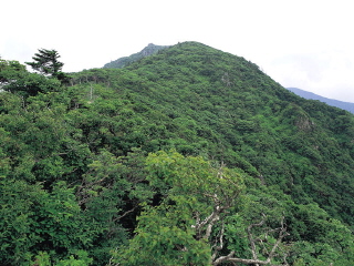 德裕山國立公園