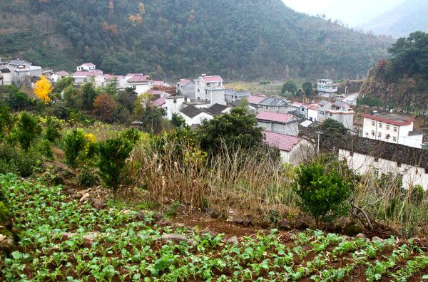 王家莊自然村(雲南省永平縣杉陽鎮下轄村)