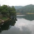 圭峰山(廣東省江門市圭峰山國家森林公園)